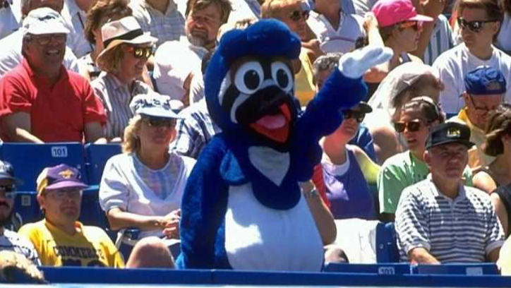 Toronto Blue Jays - Today is for you, ACE! Happy #NationalBirdDay to  everyone's favourite mascot. 😍