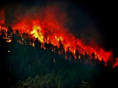 How Much Do You Really Know About Wildfires? Featured Image
