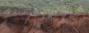 Soil Is Not Dirt: Can You Read the Profile?