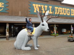Daily Trivia (September 16, 2019) Wall Drug and General Knowledge Quiz Featured Image