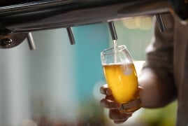 Daily Trivia (October 13, 2026) Beer and General Knowledge Quiz