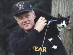 Daily Trivia (October 17, 2026) Presidential Cats and General Knowledge Quiz