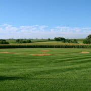 Cornfield Champions: How Well Do You Remember Field of Dreams?