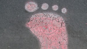 Daily Trivia (June 5, 2020) Sasquatch and General Knowledge Quiz Featured Image
