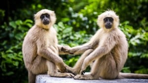 Daily Trivia (August 26, 2020) Friends and General Knowledge Quiz Featured Image